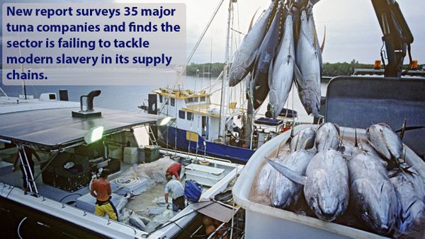 OUT OF SIGHT: MODERN SLAVERY IN PACIFIC SUPPLY CHAINS OF CANNED TUNA